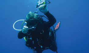 Image result for Droylsden Sub Aqua Club