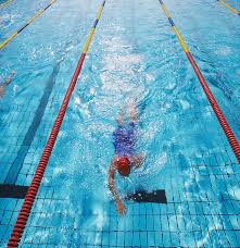 Image result for Ledbury & District Amateur Swimming Club