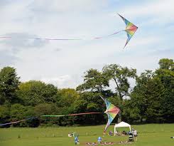 Image result for Brighton Kite Fliers