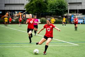 Image result for United in the Community - Boston Player Development Centres
