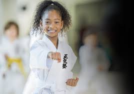 Image result for Seiki Juku Karate Club