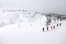 Image result for Scandinavian slope and cross country skiing