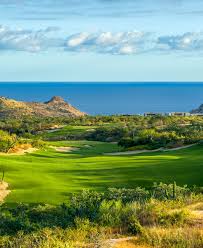 Image result for Dolphina Gc