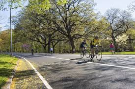 Image result for Prospect Park Beginner Jogging Sessions