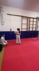 Image result for A BRITISH JUJITSU RYU in Lancing