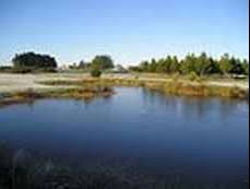 Image result for Oldmeldrum Golf Club