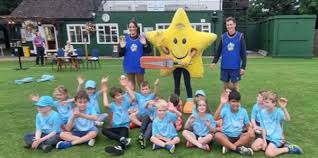 Image result for Aston Rowant Cricket Club