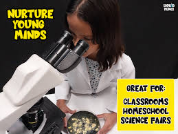 Attēlu rezultāti vaicājumam “Physarum globuliferum young”