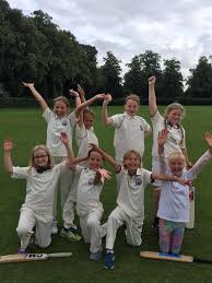 Image result for Wimbledon Cricket Club