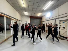 Image result for Windsor WingTsun Kung Fu School