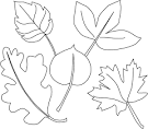 Leaves coloring page