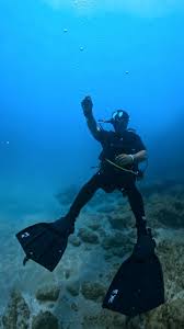 Image result for Exe To Sea Diving