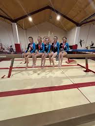 Image result for Holbeach and Fenland Gymnastics Club