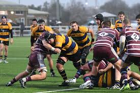 Image result for Hertford Rugby Football Club