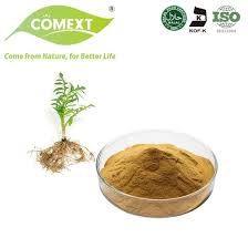 Attēlu rezultāti vaicājumam “Valeriana officinalis fruit”