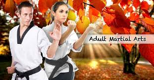 Image result for Dacula Martial Arts Dojo