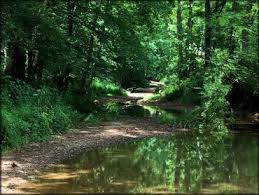 Image result for Lakes Riding Club