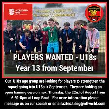 Image result for Old Wokingians Football Club