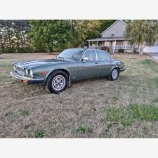 Image result for Curlew 1986 Jaguar