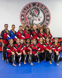 Image result for Elite Force Martial Arts