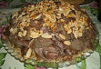 Arab cuisine - Wikipedia, the free encyclopedia