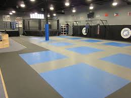 Image result for Awesome Martial Arts Training Center