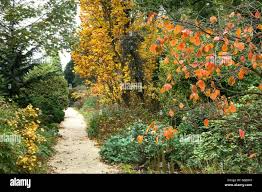 Image result for Arboretum Trompenburg