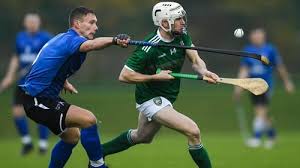 Image result for World of Shinty
