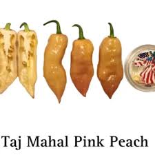 Afbeeldingsresultaat voor biker billy jalapeno hot pepper