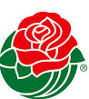 Rose-Bowl-Rose.jpg