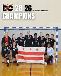 Image result for Deva Handball Club