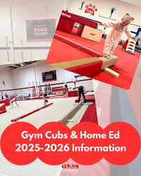 Image result for Tamworth Olympic Gymnastics Club