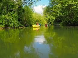 Image result for Stour Valley Canoe Club