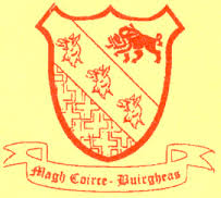 Image result for Moycarkey-Borris Gaa Club