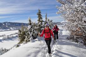 Image result for Scandinavian slope and cross country skiing