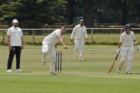 Image result for Chichester Priory Park Cc