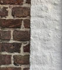 Image result for kaleien