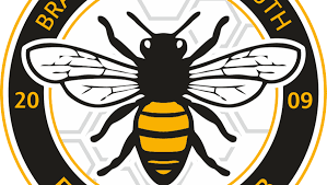 Image result for Braishfield Ultimate