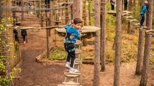 Image result for The Go Ape Experience (Swinley Forest)