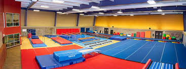 Image result for Bicester and District Gymnastics Club