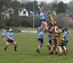Image result for Wilmslow Rugby Union Football Club