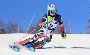 Image result for Gordon Skiers