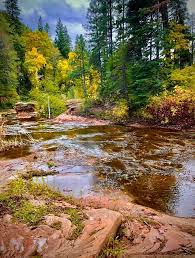 Image result for $$fall_akte__ort$$