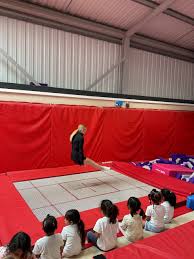 Image result for Harrow School Of Gymnastics