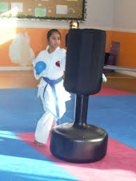 Image result for HEIWA SHOTOKAN KARATE CLUB