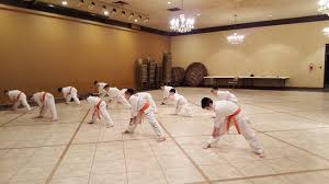 Image result for Tora Dojo