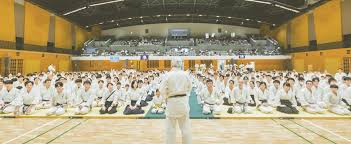 Image result for Goryukai Aikido Yoshinkan (Chichester)