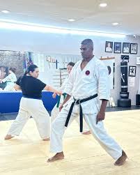 Image result for Ji Shin Do Karate
