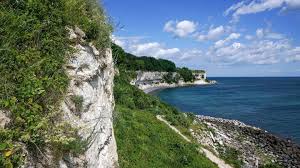 Image result for stevns klint
