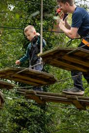 Image result for Go Ape! Alice Holt
